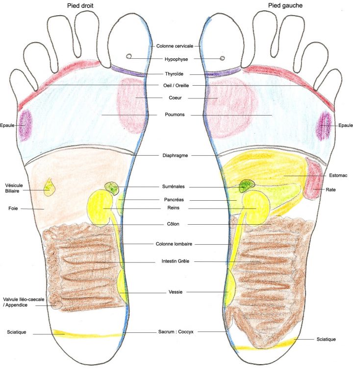 La Réflexologie Plantaire Réflexologie Isère